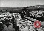 Image of Farming in America during wartime United States USA, 1944, second 23 stock footage video 65675067309