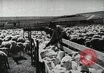 Image of Farming in America during wartime United States USA, 1944, second 24 stock footage video 65675067309