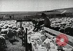 Image of Farming in America during wartime United States USA, 1944, second 25 stock footage video 65675067309