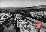 Image of Farming in America during wartime United States USA, 1944, second 26 stock footage video 65675067309