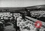Image of Farming in America during wartime United States USA, 1944, second 27 stock footage video 65675067309