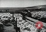 Image of Farming in America during wartime United States USA, 1944, second 28 stock footage video 65675067309