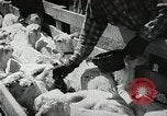 Image of Farming in America during wartime United States USA, 1944, second 29 stock footage video 65675067309