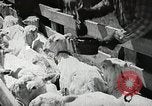 Image of Farming in America during wartime United States USA, 1944, second 30 stock footage video 65675067309