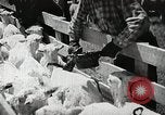 Image of Farming in America during wartime United States USA, 1944, second 31 stock footage video 65675067309