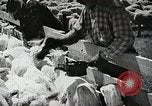 Image of Farming in America during wartime United States USA, 1944, second 32 stock footage video 65675067309