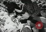 Image of Farming in America during wartime United States USA, 1944, second 33 stock footage video 65675067309