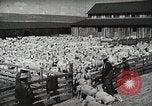 Image of Farming in America during wartime United States USA, 1944, second 34 stock footage video 65675067309