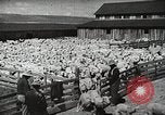 Image of Farming in America during wartime United States USA, 1944, second 35 stock footage video 65675067309