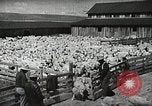 Image of Farming in America during wartime United States USA, 1944, second 36 stock footage video 65675067309