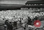 Image of Farming in America during wartime United States USA, 1944, second 37 stock footage video 65675067309