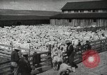 Image of Farming in America during wartime United States USA, 1944, second 38 stock footage video 65675067309