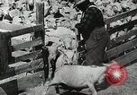 Image of Farming in America during wartime United States USA, 1944, second 40 stock footage video 65675067309
