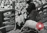 Image of Farming in America during wartime United States USA, 1944, second 41 stock footage video 65675067309