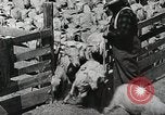 Image of Farming in America during wartime United States USA, 1944, second 43 stock footage video 65675067309