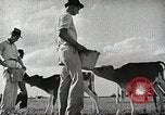 Image of Farming in America during wartime United States USA, 1944, second 45 stock footage video 65675067309