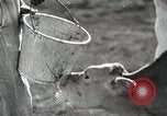 Image of Farming in America during wartime United States USA, 1944, second 48 stock footage video 65675067309