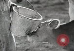 Image of Farming in America during wartime United States USA, 1944, second 49 stock footage video 65675067309