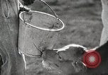 Image of Farming in America during wartime United States USA, 1944, second 50 stock footage video 65675067309
