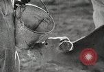 Image of Farming in America during wartime United States USA, 1944, second 51 stock footage video 65675067309
