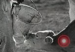 Image of Farming in America during wartime United States USA, 1944, second 52 stock footage video 65675067309