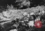 Image of Farming in America during wartime United States USA, 1944, second 56 stock footage video 65675067309
