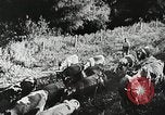 Image of Farming in America during wartime United States USA, 1944, second 59 stock footage video 65675067309