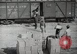 Image of farmers United States USA, 1944, second 37 stock footage video 65675067310