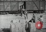 Image of farmers United States USA, 1944, second 38 stock footage video 65675067310