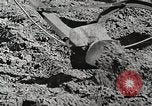 Image of farmers United States USA, 1944, second 56 stock footage video 65675067310