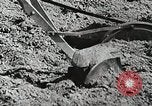 Image of farmers United States USA, 1944, second 57 stock footage video 65675067310