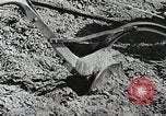 Image of farmers United States USA, 1944, second 58 stock footage video 65675067310
