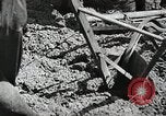 Image of farmers United States USA, 1944, second 59 stock footage video 65675067310