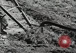 Image of farmers United States USA, 1944, second 61 stock footage video 65675067310