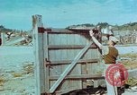 Image dommage physique Nagasaki au Japon, 1945, de la seconde 4 séquences d'archives historiques vidéo 65675067328