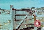 Image dommage physique Nagasaki au Japon, 1945, de la seconde 9 séquences d'archives historiques vidéo 65675067328