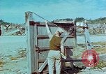 Image dommage physique Nagasaki au Japon, 1945, de la seconde 15 séquences d'archives historiques vidéo 65675067328