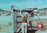 Image dommage physique Nagasaki au Japon, 1945, de la seconde 16 séquences d'archives historiques vidéo 65675067328
