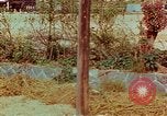 Image of Atomic bomb effects Nagasaki Japan, 1945, second 15 stock footage video 65675067329