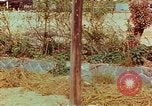 Image of Atomic bomb effects Nagasaki Japan, 1945, second 16 stock footage video 65675067329