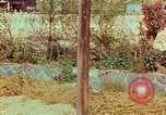 Image of Atomic bomb effects Nagasaki Japan, 1945, second 17 stock footage video 65675067329