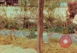 Image of Atomic bomb effects Nagasaki Japan, 1945, second 18 stock footage video 65675067329