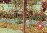 Image of Atomic bomb effects Nagasaki Japan, 1945, second 19 stock footage video 65675067329
