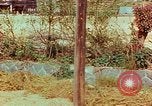 Image of Atomic bomb effects Nagasaki Japan, 1945, second 20 stock footage video 65675067329