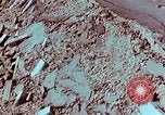 Standbild physische Schäden Hiroshima Japan, 1946, aus Sekunde 14 historischem Filmmaterial Videoclip 65675067351
