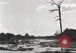 Image of origin of city New Orleans Louisiana USA, 1923, second 37 stock footage video 65675067363