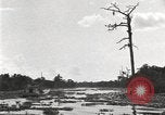 Image of origin of city New Orleans Louisiana USA, 1923, second 38 stock footage video 65675067363