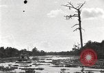 Image of origin of city New Orleans Louisiana USA, 1923, second 40 stock footage video 65675067363
