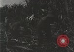 Image of activities of people New Orleans Louisiana USA, 1923, second 18 stock footage video 65675067372