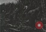 Image of activities of people New Orleans Louisiana USA, 1923, second 22 stock footage video 65675067372